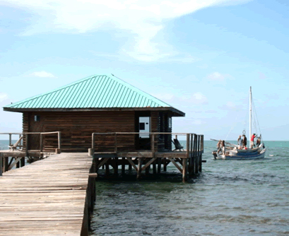 dental tourism belize